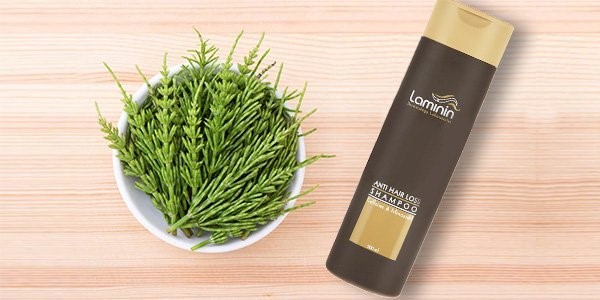 شامپو تقویت کننده انواع مو لامینین -لیمونا